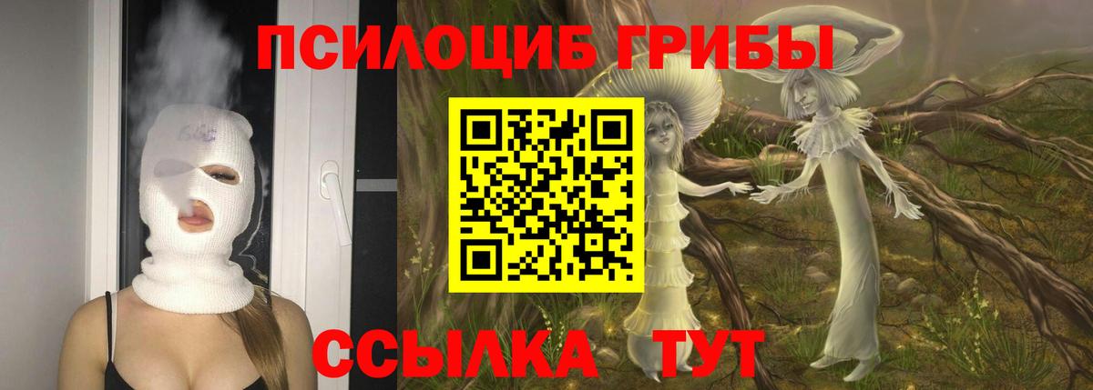 Псилоцибиновые грибы Psilocybe  купить   Владивосток  Вход с VPN  Псилоцибиновые грибы Psilocybine cubensis 